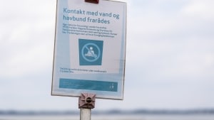 Flere danske brandmænd er bekymrede, fordi de har været i kontakt med det giftige fluorstof PFOS. Foto: Ida Marie Odgaard/Ritzau Scanpix