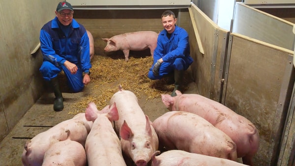 Ung landmand opkøber svinegårde for 30 millioner: - Uden Oles hjælp var det aldrig lykkedes