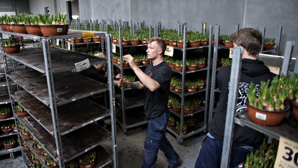Stor vognmand runder en milliard: Har erobret tunge kunder