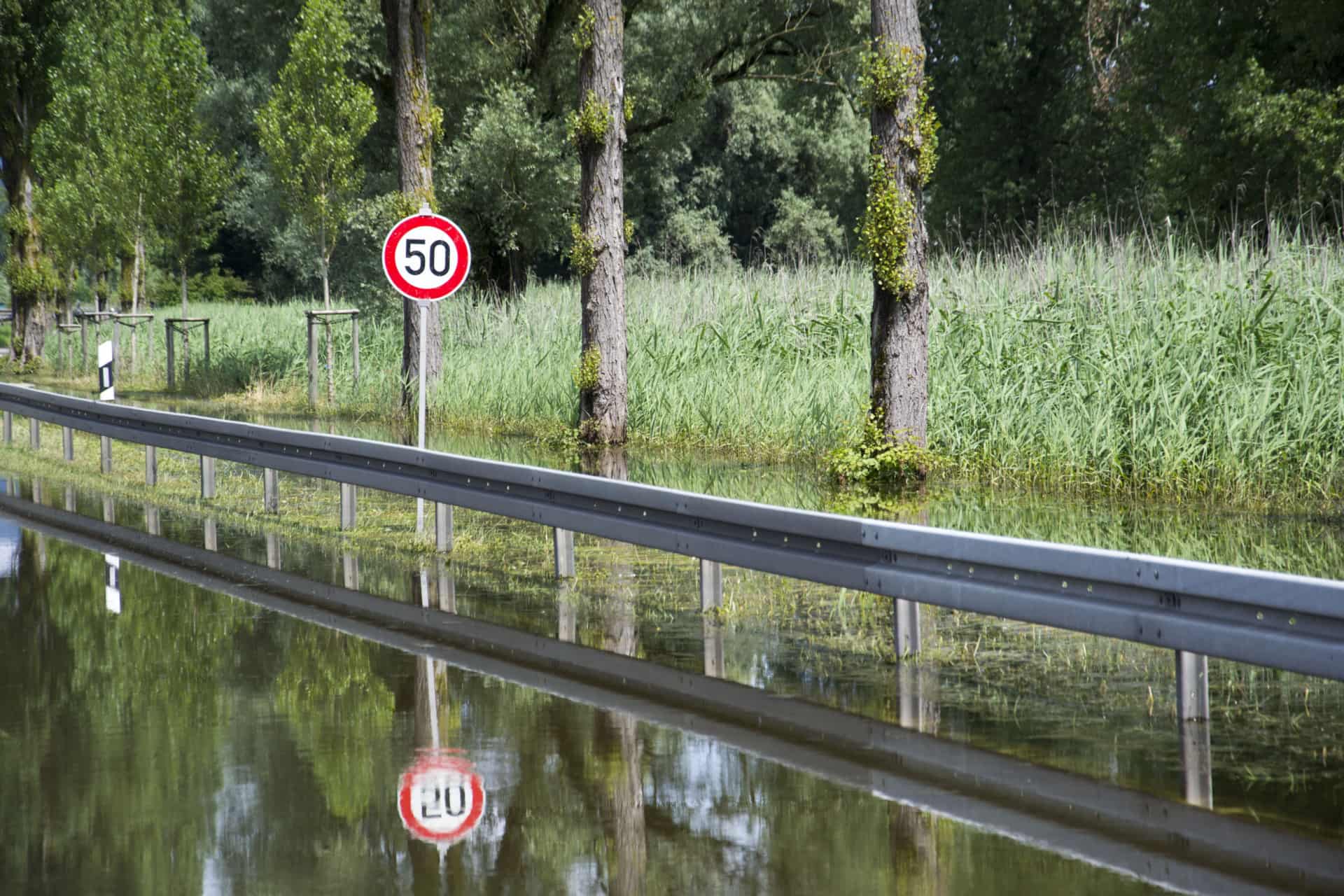 Klimaforandringer Livestreames Fra Aarhus | Ugeavisen.dk