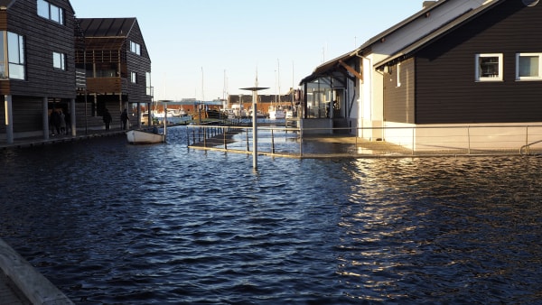 500 bygninger risikerer oversvømmelse: Her er seks løsninger mod stormfloden