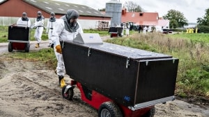 Minkavlerne får ikke svar på, hvordan regeringen tænker at kunne udbetale erstatninger for aflivning af mink i første kvartal af 2023, selv om regeringen har lovet, at det vil ske i begyndelsen af året. Fødevareministeren siger, at han er frustreret, men at en model kan præsenteres 