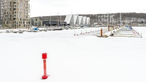 Isen har fået greb om fjorden - her ved Lystbådehavnen - men det er forbudt at færdes på det stive vand, advarer Vejle Kommune. Foto: Mads Dalegaard