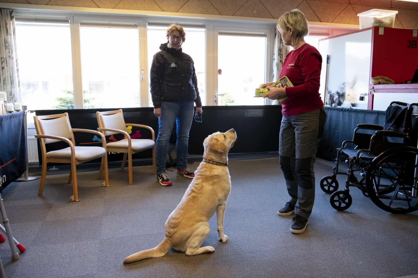 30 firbenede til session på Sådan du og din hund godkendt besøgshundeteam | dbrs.dk