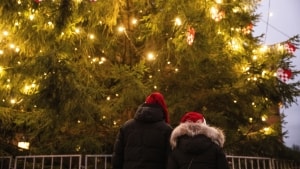 Ifølge Energistyrelsen vil 66 procent af danskerne minimere deres brug af julebelysning udendørs. Foto: Olafur Steinar Gestsson/Ritzau Scanpix
