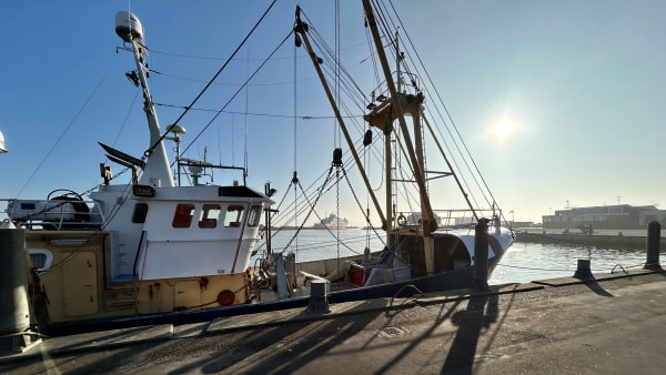 78-årig havde båden fuld af hash: Så meget tjente han på at smugle narko mellem Danmark og Grønland