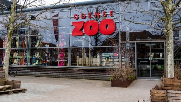 Odense Zoo kommer med efterlysning: To dyr er undsluppet fra haven
