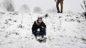 Avisens fotograf har været ude i sneen. Her fangede hun Zeline Olesen på syv år, der tog sig en tur på kælken som en tiltrængt pause fra corona-skolen derhjemme. Foto: Mette Mørk