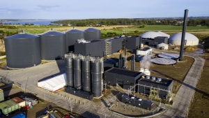 Nature Energy vil bygge fire nye siloer ved biogasanlægget i Glansager for at kunne håndtere en ny form for biomasse. Arkivfoto: Maria Hedegaard