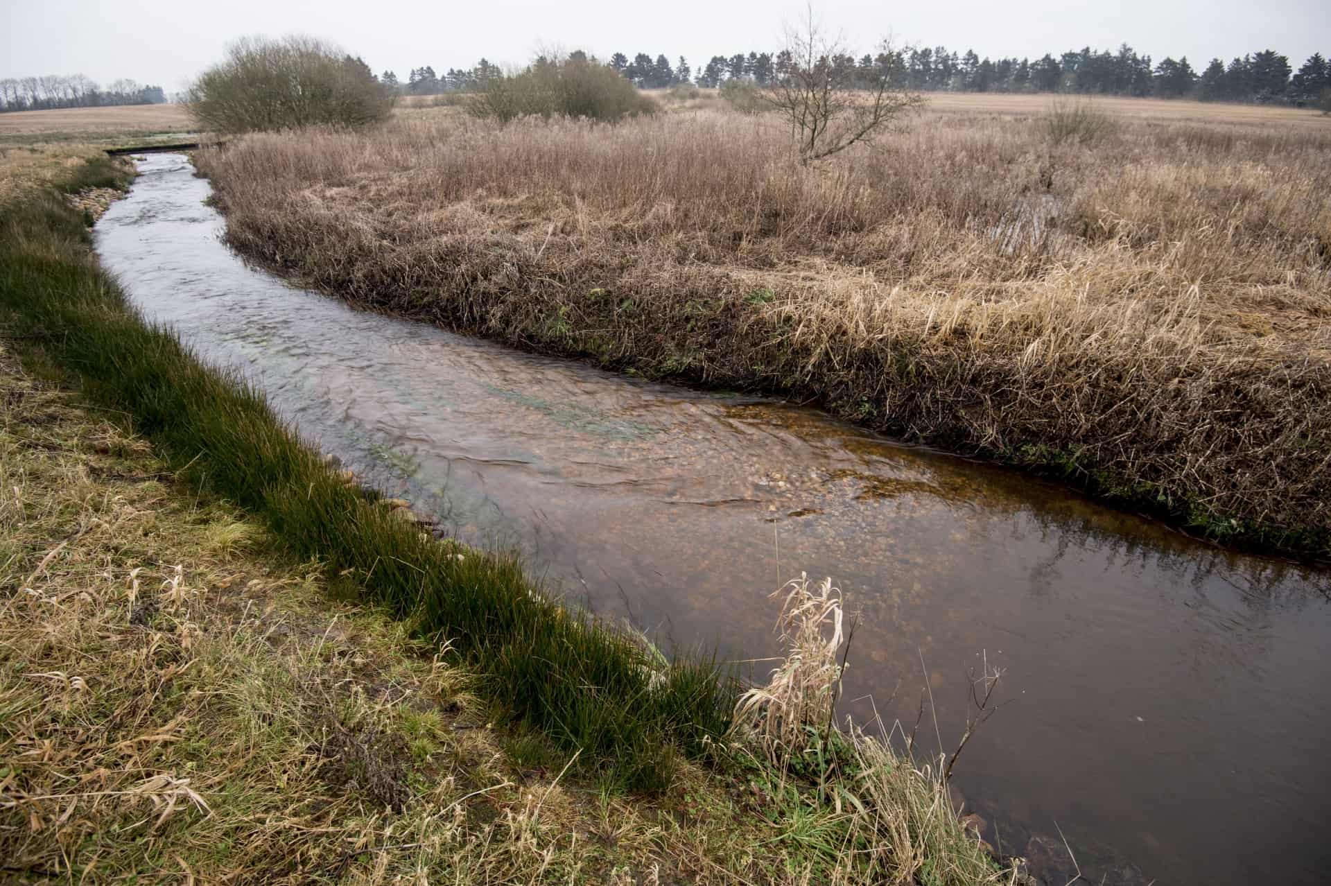 Pilgrimsvandring Langs Vegen Ugeavisen dk
