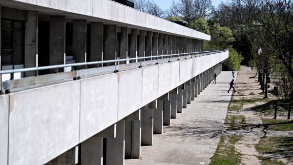 Elev tæskede løs på ansat: Folkeskole får kritik af Arbejdstilsynet
