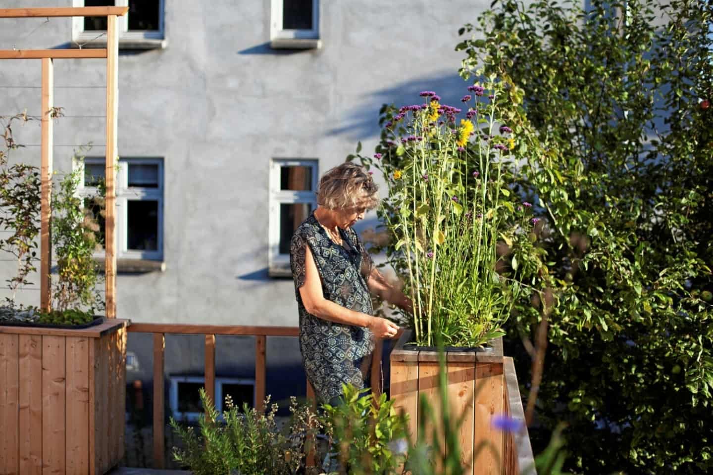 planter skal til din altan | ugeavisen.dk