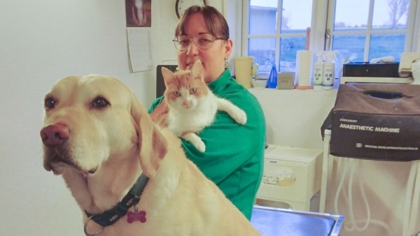 Britta blev ramt af sygdom - nu må hun lukke sin dyrlægeklinik: - Jeg er nødt til at sadle om