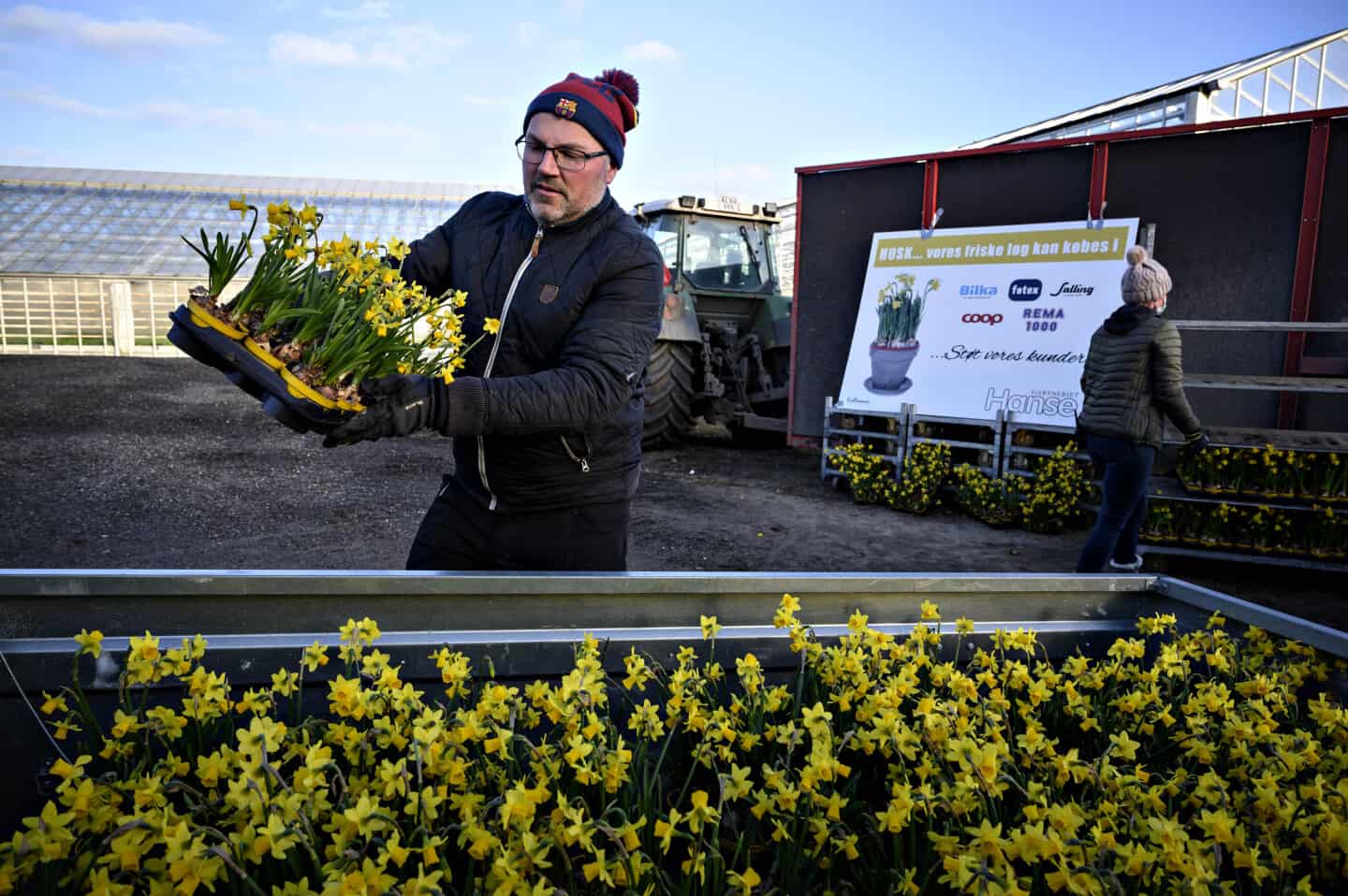 opadgående Finde sig i Emuler Gratis blomster skabte kilometerlang kø: Stige-gartner bestormet | fyens.dk
