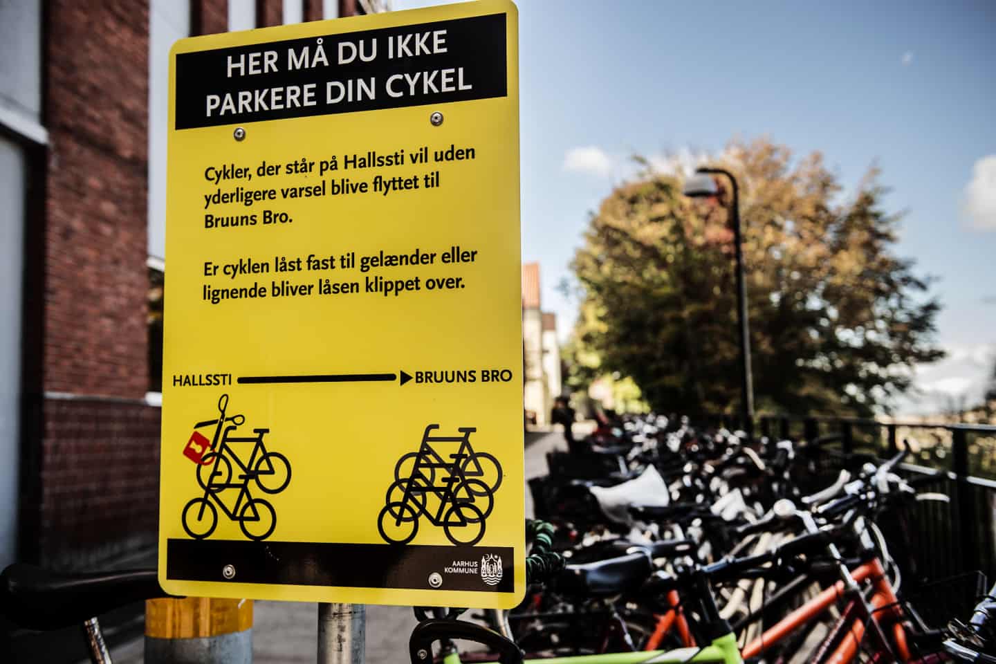 Indvending Det sfære Kommunen skruer bissen på: Nu fjernes ulovligt parkerede cykler | stiften.dk