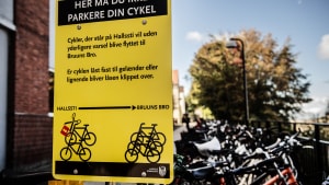 Kommunens skilte skulle forhindre cykelparkering på Halssti. Det er som om, at de har haft den modsatte effekt. Foto: Michael Svenningsen