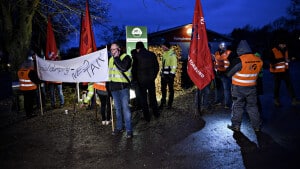3F demonstrerede onsdag morgen foran Møllegårdens Planteskole, der leverer færdige hække under navnet Prima Færdig Hæk. Foto: Michael Bager