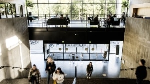 Syddansk Universitet skal efter planen reducere antallet af studiepladser på hovedcampusset i Odense med op mod 10 procent frem mod 2030, ligesom landets øvrige universiteter i de største byer. Foto: Tim Kildeborg Jensen/Ritzau Scanpix