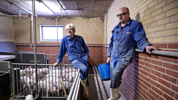Jernbane æder to af Nicolais gårde og snart rammer omstridt afgift: Nu overvejer han at droppe familiens livsværk - mor giver grønt lys