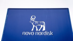 269 læger har fortalt, at de har aktier i Novo Nordisk, hvilket er mere end en fordobling sammenlignet med niveauet i 2013. Arkivfoto: Mads Claus Rasmussen/Ritzau Scanpix