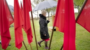 Stadigt færre under de røde faner. Næsten en million mennesker arbejder under en overenskomst uden selv at være medlemmer af en overenskomstbærende fagforening, skriver Lizette Risgaard. Arkivfoto: Keld Navntoft/Ritzau Scanpix