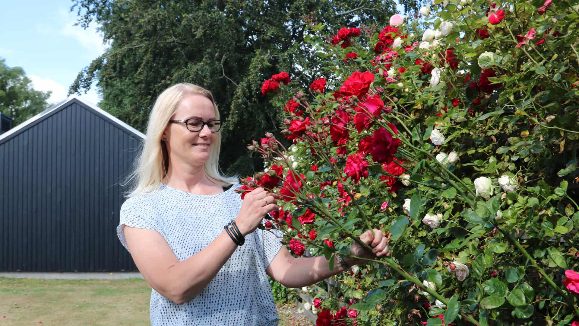 Heidis hjerte banker for Ribes turister | ugeavisen.dk