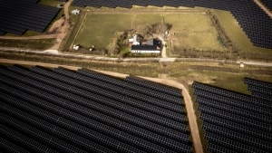 Et stigende antal solcelleparker i Danmark og resten af Europa betyder, at der i perioder med solskin bliver produceret mere strøm, end markedet efterspørger. Derfor bliver priserne negative. Arkivfoto: Mads Claus Rasmussen/Ritzau Scanpix