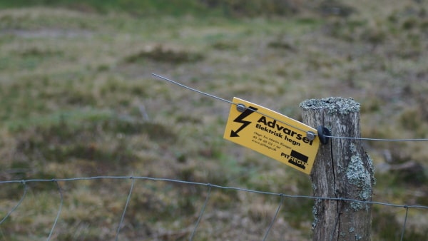Ulveangreb: Igen er der klippet hul i hegnet ved Storålam