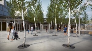 Tate Modern Art Gallery i London har ligeledes plantet en have af birketræer, og det er også det, der lægges op til i BIGs løsning med 57 pollenfri birketræer, hvis hvide stammer korresponderer med Musikhusets indre skov af hvide søjler med kroner. Visualisering: BIG.