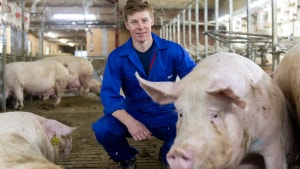 Kim Heiselberg, der blev formand for Danske Svineproducenter i februar, har 1.800 søer på to bedrifter og  sælger årligt 60.000 30-kilos grise til eksport. Arkivfoto: Mads Dalegaard
