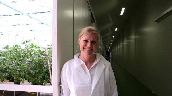 Film med kendte skuespillere bliver optaget hos fynsk producent af medicinsk cannabis