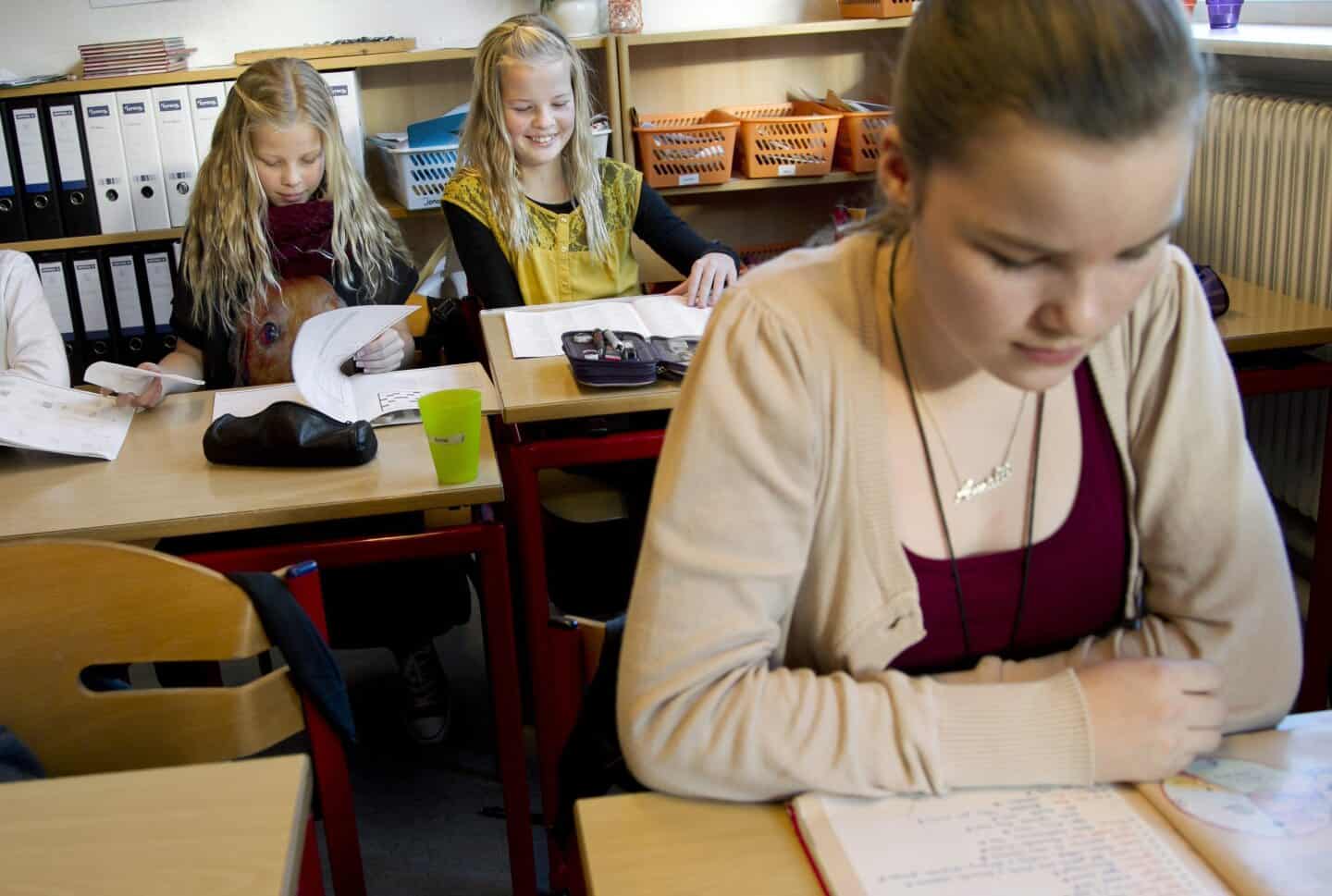 lette Glat krave Små friskoler kæmper for at holde elevtal | dagbladet-holstebro-struer.dk