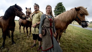 Henrik og Anette Dahl har været vikinger i 30 år og til vikingemarkedet i Jelling laver de blandt andet opvisninger på heste. Foto: Søren E. Alwan