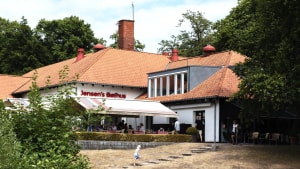 Jensens Bøfhus har hovedsæde her i Fruens Bøge i Odense. Arkivfoto: Vibeke Volder