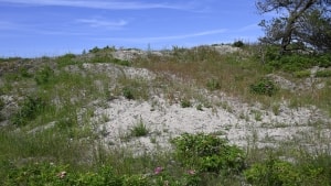 Det var her på Hornblæk strand i sommer, det kiksede for en kvinde, der lige havde søgt ind i politiet. Arkivfoto