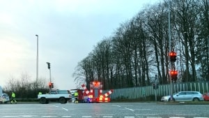En lastvognstrailer med juletræer væltede ved motorvejstilkørslen på Fredericiavej. Det forstyrrede morgentrafikken. Foto: Leif Baun