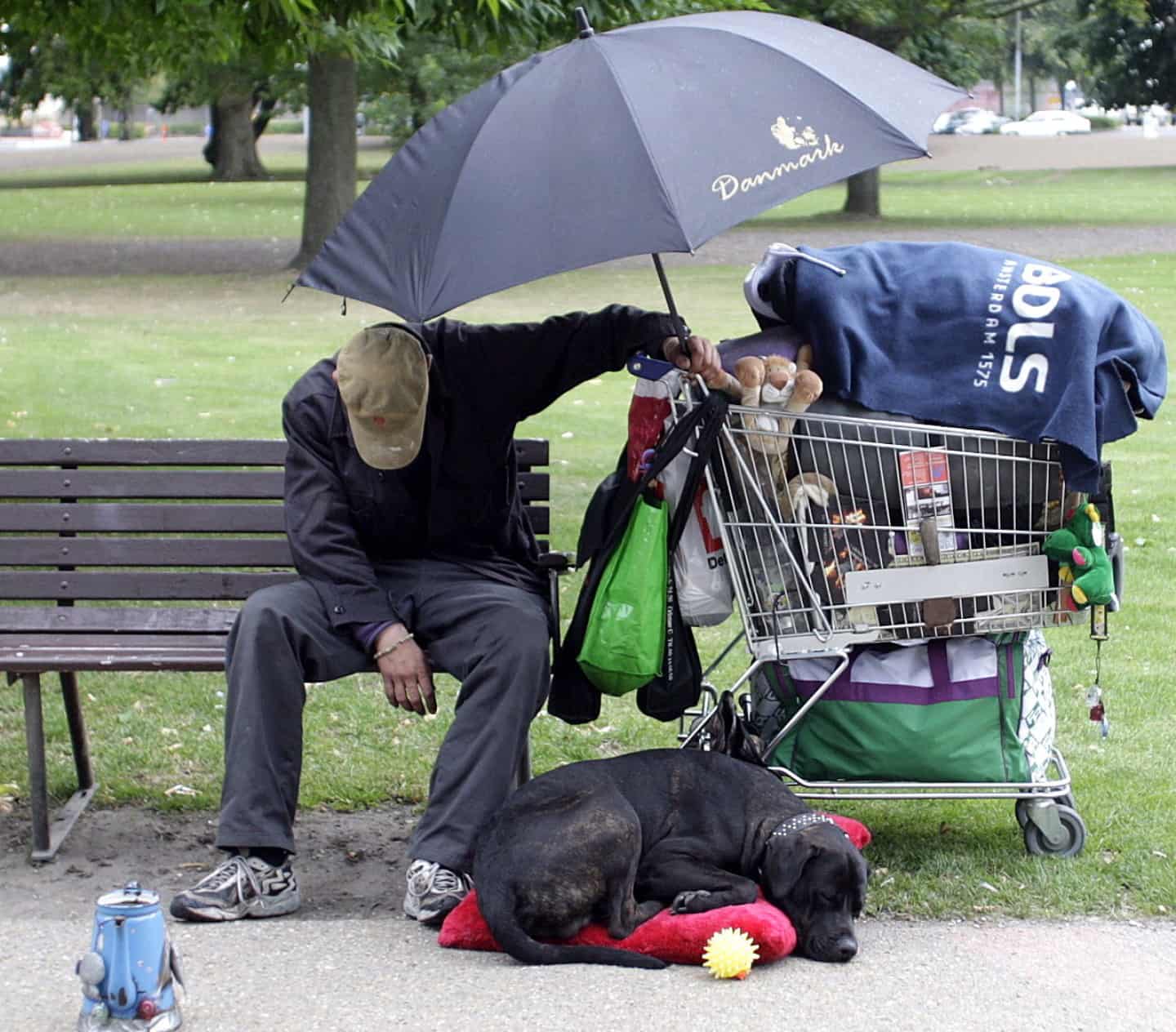 Flere hjemløse i Odense | fyens.dk