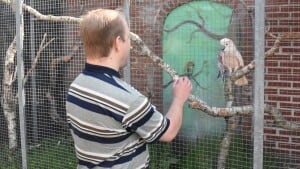 Kakaduen Charlie var det første dyr, som parkens første gæst i år, Enok Mikkelsen, skulle hen at hilse på. For som stamgæst ved man, at Charlie godt kan lide opmærksomhed. Foto: Sebastian Engelberth Hansen