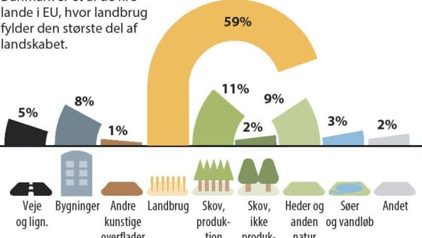 Store Beslutninger På Vej - Stregerne Tegnes Til Nyt Dansk Landskab ...