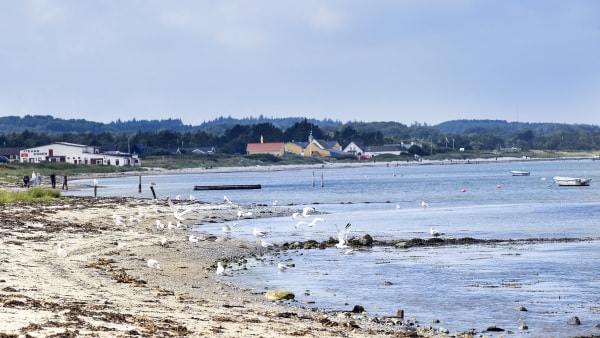 Get Kystnaere indsamling hjem varer Desktop Wallpaper Free Kystnaere Indsamling Hjem Varer