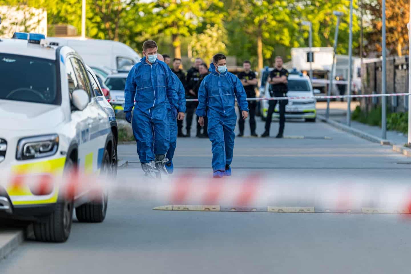 Billedet i artiklen