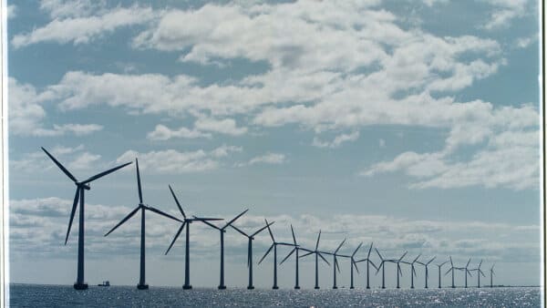 Get Kystnaere indsamling hjem varer Desktop Wallpaper Kystnaere Indsamling Hjem Varer