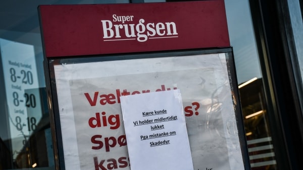 Superbrugsen Lukker På Grund Af Mistanke Om Skadedyr: Det Er Ikke ...