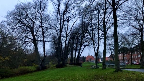 Hverdagshelt huserer i å-kvarter i Odense: Gør sine gode gerninger i de grå morgentimer