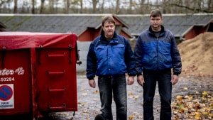 Brødrene Sven og Peter Støvring afventer nu afhentning af to containere med 9500 døde mink, som de selv har aflivet for 