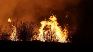 Der har været massive flammer i forbindelse med branden på Birkegårdsvej i Hasselager. Foto: Presse-fotos.dk