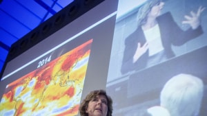 Concito-formand Connie Hedegaard er et af navnene, der skal tale til ungdommen på Klimafolkemødets unge-scene på Middelfart Gymnasium. Arkivfoto: Nils Svalebøg