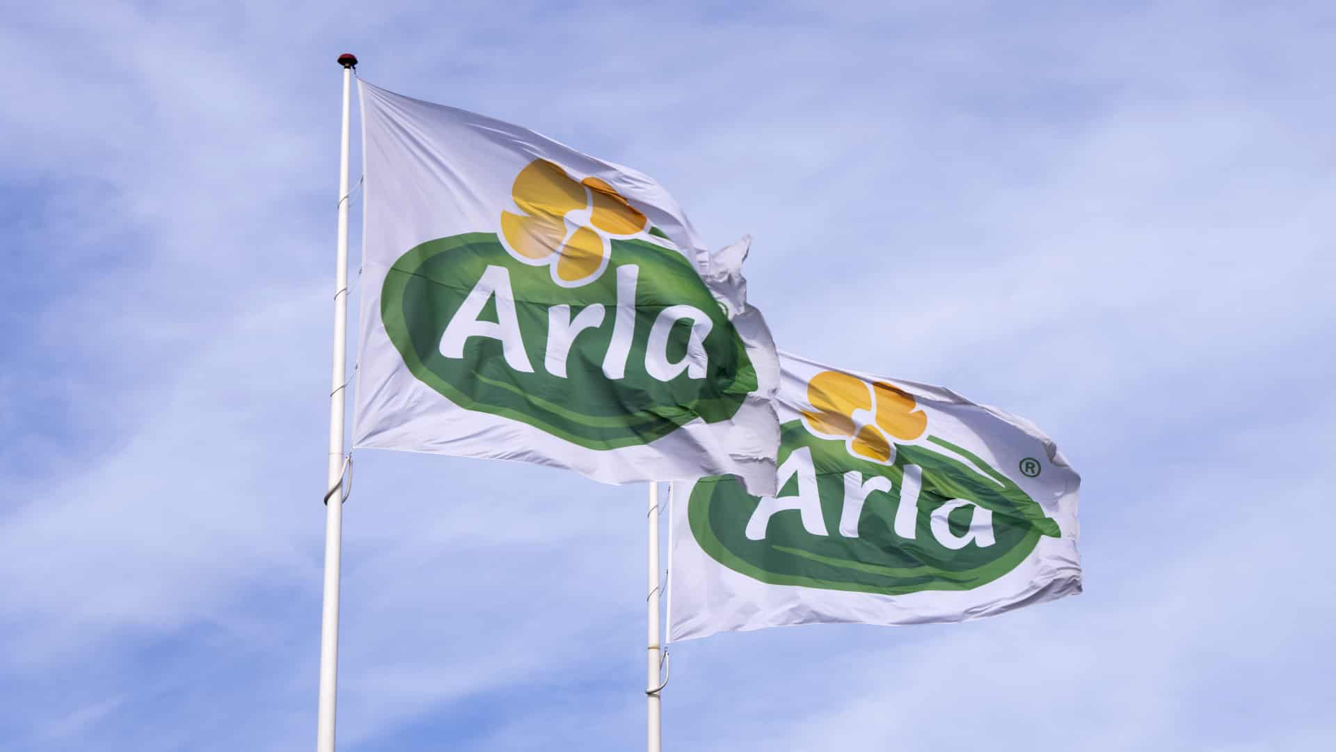 Direktør fortæller, hvorfor hun stopper hos Arla | dagbladet-holstebro ...