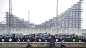Lørdagens traktor-demonstration fandt blandt andet sted på havnen. Foto: Bo Amstrup/Ritzau Scanpix