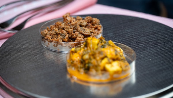Fremtidens mad? Vi smagte “brødkrummer” fra en petriskål – og blev overrasket